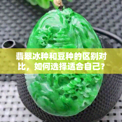 翡翠冰种和豆种的区别对比，如何选择适合自己？