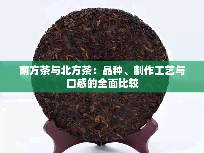 南方茶与北方茶：品种、制作工艺与口感的全面比较