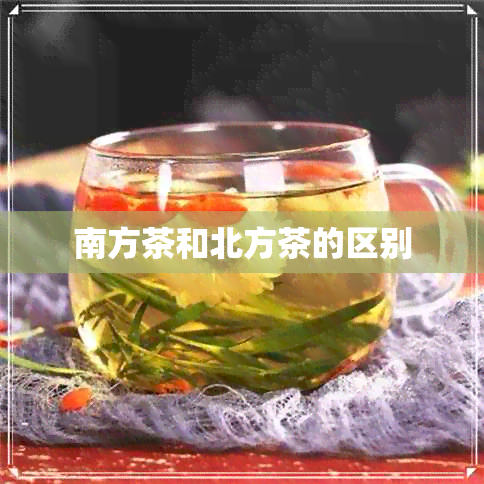 南方茶和北方茶的区别