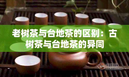 老树茶与台地茶的区别：古树茶与台地茶的异同