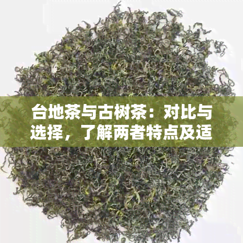 台地茶与古树茶：对比与选择，了解两者特点及适用场景