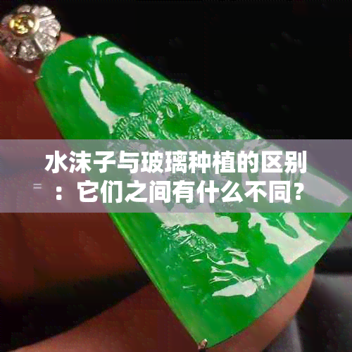 水沫子与玻璃种植的区别：它们之间有什么不同？