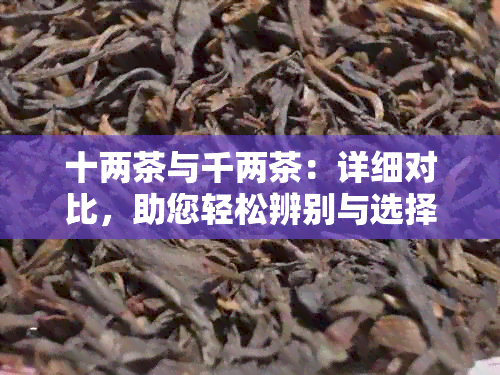 十两茶与千两茶：详细对比，助您轻松辨别与选择