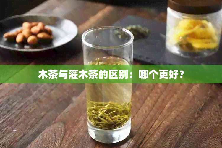 木茶与灌木茶的区别：哪个更好？