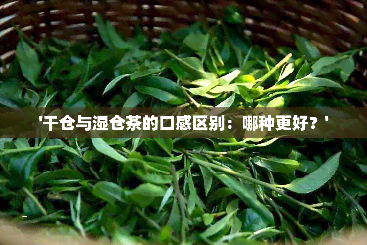 '干仓与湿仓茶的口感区别：哪种更好？'