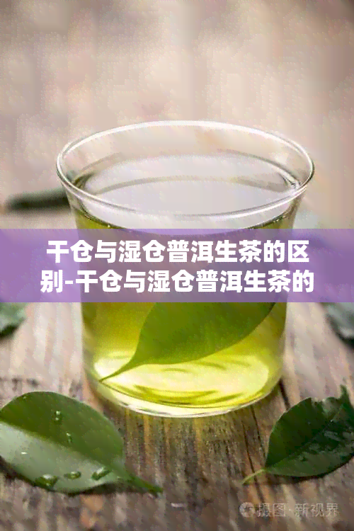 干仓与湿仓普洱生茶的区别-干仓与湿仓普洱生茶的区别是什么