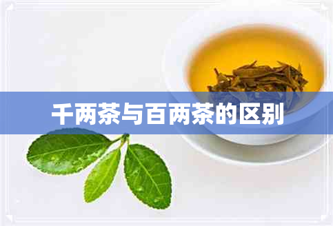 千两茶与百两茶的区别