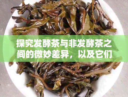 探究发酵茶与非发酵茶之间的微妙差异，以及它们在口感、香气和功效上的异同