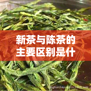 新茶与陈茶的主要区别是什么？