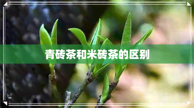 青砖茶和米砖茶的区别