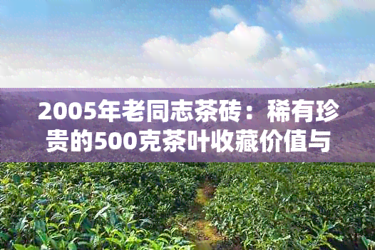 2005年老同志茶砖：稀有珍贵的500克茶叶收藏价值与市场价格分析