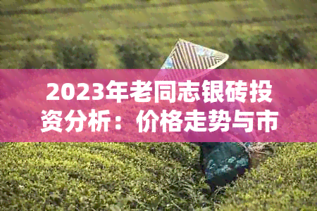 2023年老同志银砖投资分析：价格走势与市场前景探讨