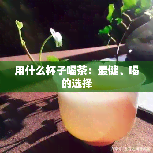 用什么杯子喝茶：最健、喝的选择