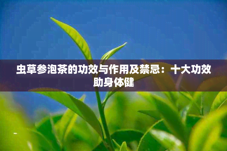 虫草参泡茶的功效与作用及禁忌：十大功效助身体健