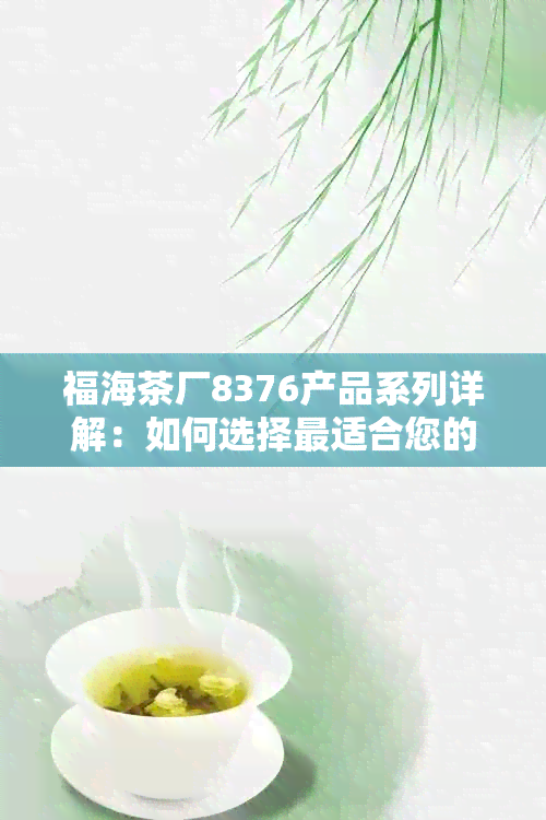 福海茶厂8376产品系列详解：如何选择最适合您的茶叶？