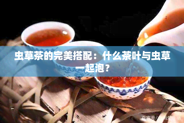 虫草茶的完美搭配：什么茶叶与虫草一起泡？