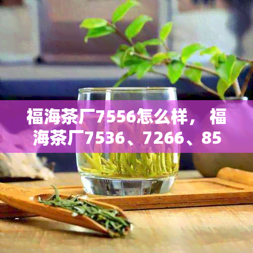 福海茶厂7556怎么样， 福海茶厂7536、7266、8596和7436的表现如何？