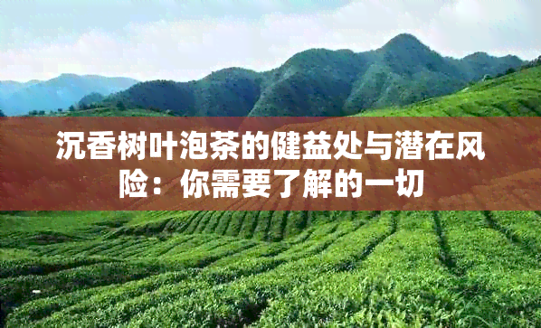 沉香树叶泡茶的健益处与潜在风险：你需要了解的一切