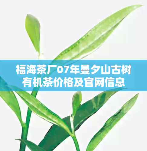 福海茶厂07年曼夕山古树有机茶价格及官网信息