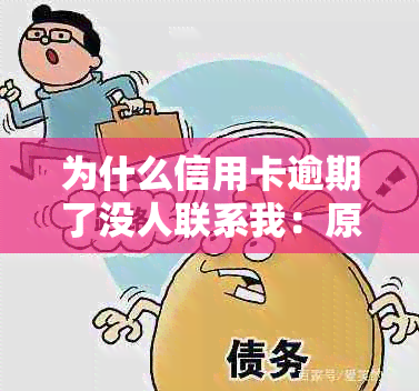 为什么信用卡逾期了没人联系我：原因与解决策略