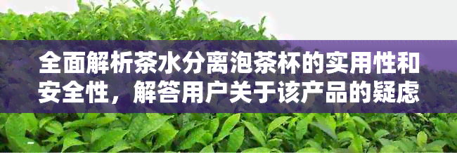 全面解析茶水分离泡茶杯的实用性和安全性，解答用户关于该产品的疑虑