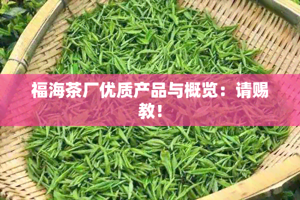 福海茶厂优质产品与概览：请赐教！