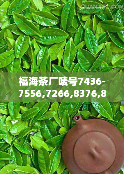 福海茶厂唛号7436-7556,7266,8376,8596