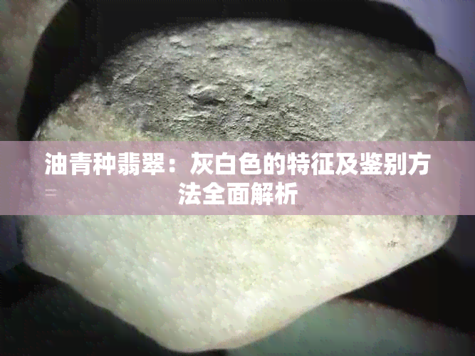 油青种翡翠：灰白色的特征及鉴别方法全面解析