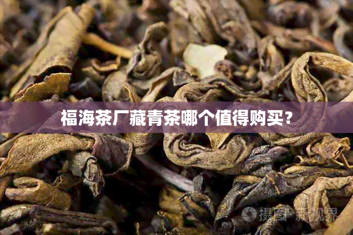 福海茶厂藏青茶哪个值得购买？