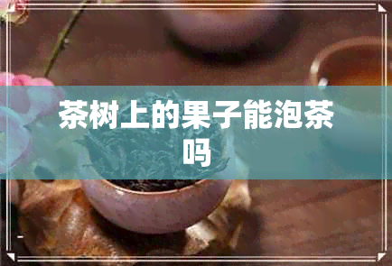 茶树上的果子能泡茶吗