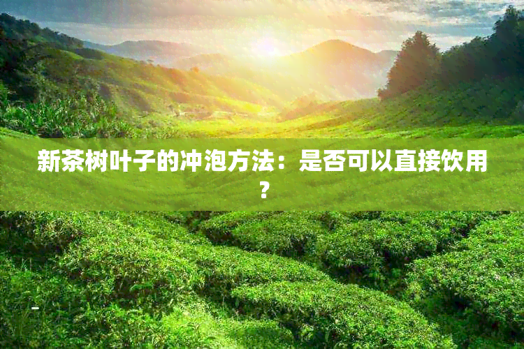 新茶树叶子的冲泡方法：是否可以直接饮用？