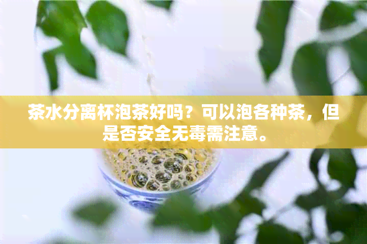 茶水分离杯泡茶好吗？可以泡各种茶，但是否安全无需注意。