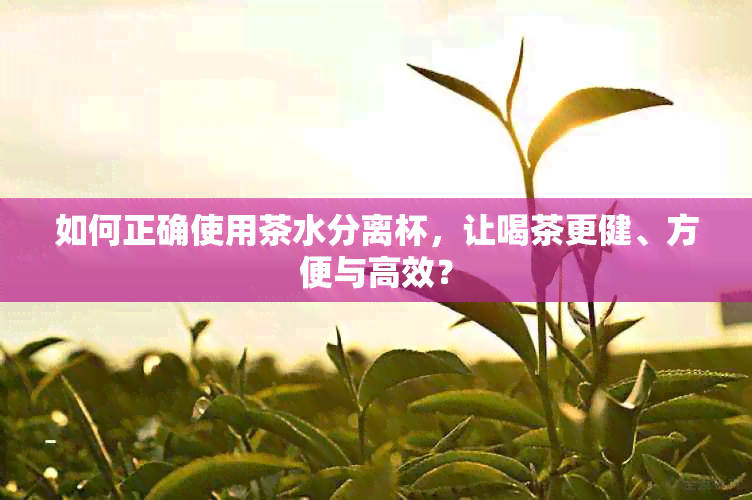 如何正确使用茶水分离杯，让喝茶更健、方便与高效？