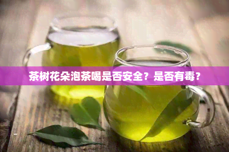 茶树花朵泡茶喝是否安全？是否有？