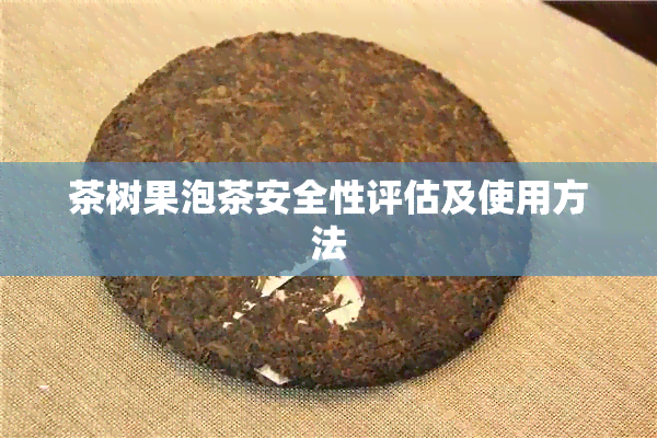 茶树果泡茶安全性评估及使用方法