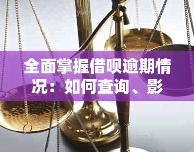 全面掌握借呗逾期情况：如何查询、影响及解决办法一文解析