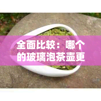 全面比较：哪个的玻璃泡茶壶更值得购买？