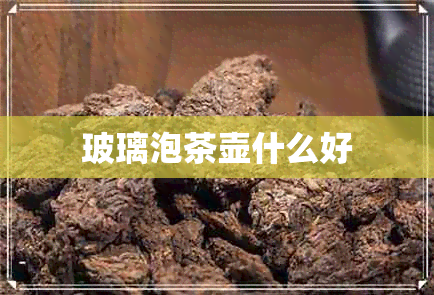 玻璃泡茶壶什么好