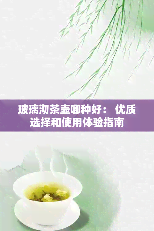 玻璃沏茶壶哪种好： 优质选择和使用体验指南