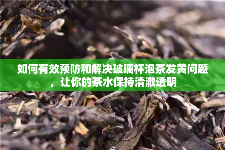 如何有效预防和解决玻璃杯泡茶发黄问题，让你的茶水保持清澈透明