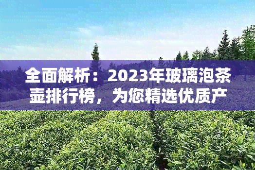 全面解析：2023年玻璃泡茶壶排行榜，为您精选优质产品及购买建议