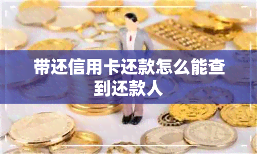 带还信用卡还款怎么能查到还款人