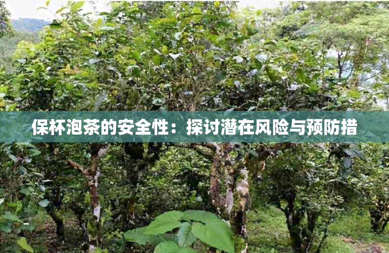 保杯泡茶的安全性：探讨潜在风险与预防措