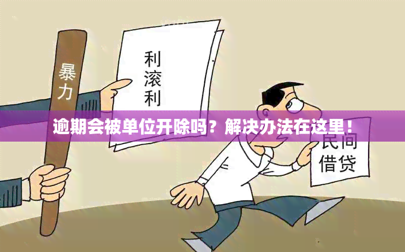 逾期会被单位开除吗？解决办法在这里！