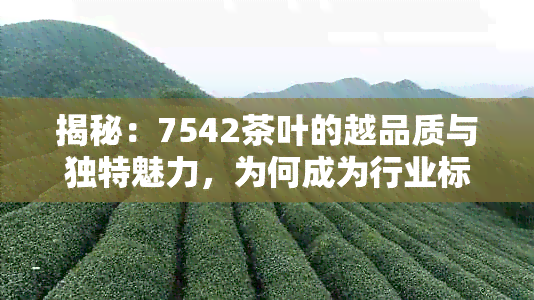 揭秘：7542茶叶的越品质与独特魅力，为何成为行业标杆？