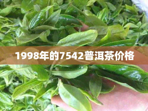 1998年的7542普洱茶价格