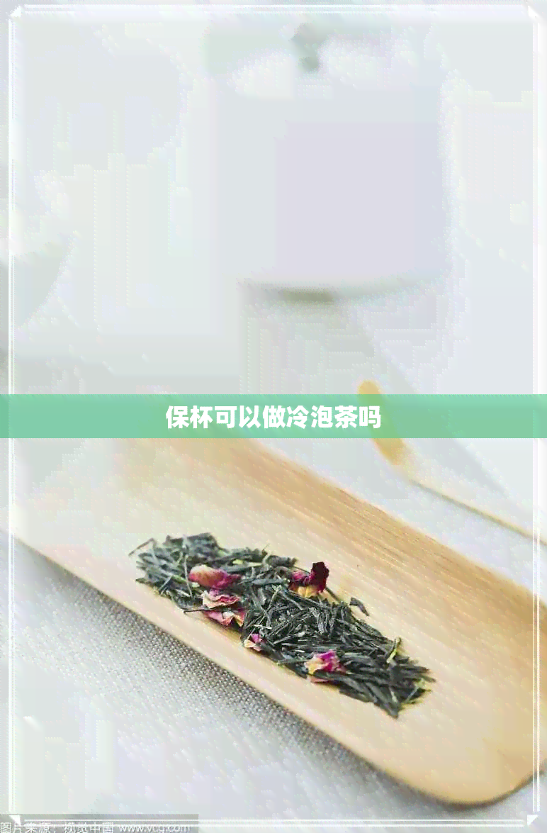 保杯可以做冷泡茶吗