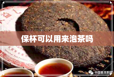 保杯可以用来泡茶吗