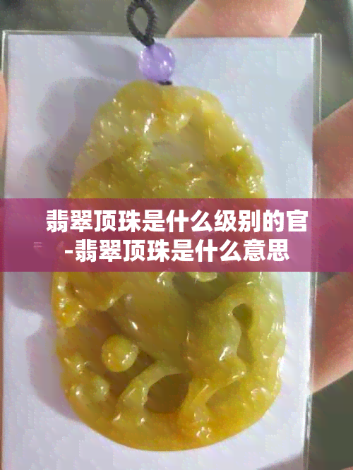 翡翠顶珠是什么级别的官-翡翠顶珠是什么意思