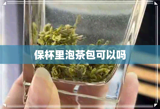 保杯里泡茶包可以吗